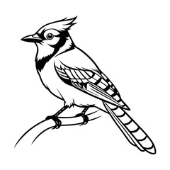 blue jay bird Vector Style silhouette Art Design