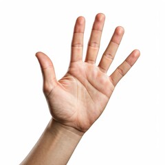 Left Open Hand Greeting, hand, open hand, greeting, waving, five fingers, fingers, gesture, white background