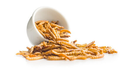 Dried salted worms. Roasted mealworms in bowl isolated on white background.