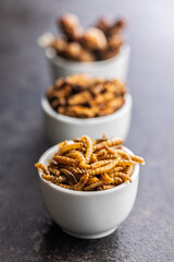 Dried salted worms. Roasted mealworms in bowl on black table.