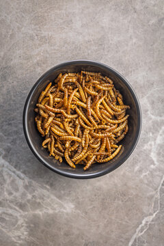 Dried salted worms. Roasted mealworms in bowl on kitchen table. Top view,