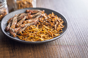 Dried salted insect. Mealworms, grasshoppers and crickets on plate on wooden table.