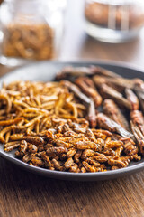 Dried salted insect. Mealworms, grasshoppers and crickets on plate on wooden table.