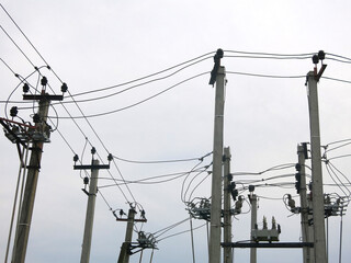 many power poles on the edge of the city