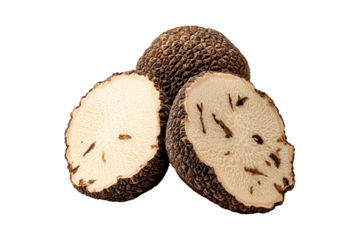 Fresh Bianchetto truffles isolated on white transparent background, great for culinary and gourmet themes.