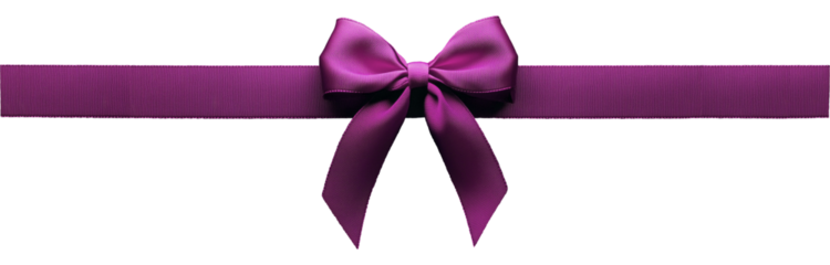 Realistic decorative ribbon bow isolated on transparent background.