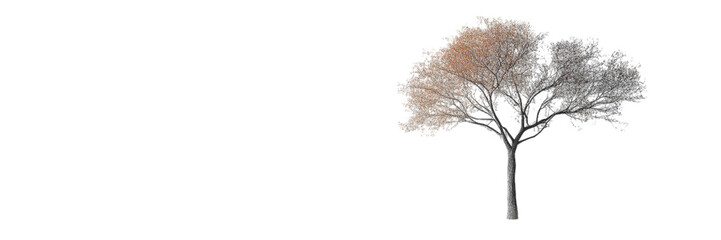 Minimalist design, clean white backdrop, emphasizes simplicity and elegance, ideal for modern aesthetics and contemporary branding