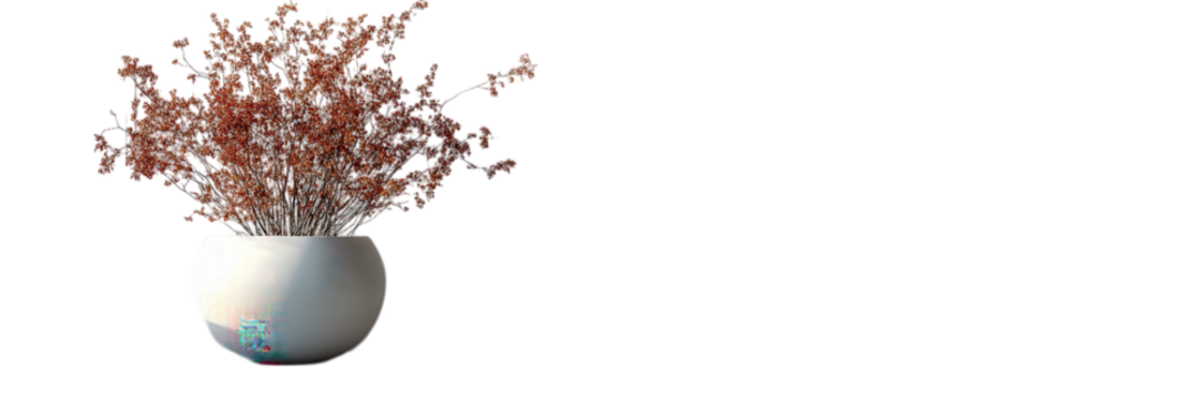 Clean design, minimalist aesthetic, bright white backdrop, modern simplicity, emphasis on form and space, elegant and uncluttered composition