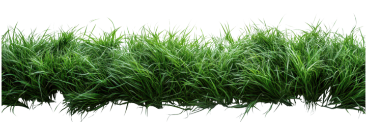 Minimalist grass arrangement on a white backdrop, emphasizing simplicity and elegance in design.