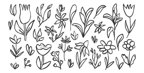 Hand drawn line stroke flowers and leaves set. Charcoal line poppy, tulip, daisy doodle monochrome. Floral outline brush chamomile and marguerite kids chalk shape. Vector black pencil illustration.