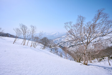 大日ヶ岳の登山道から見た景色