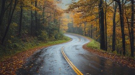 Fototapeta premium Winding Road Through Autumnal Forest