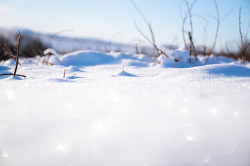 Snow White detail sparkle 