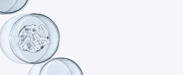 A sample of skin serum or moisturizing gel in a Petri dish. A cosmetic product. Copy space