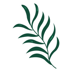 Stylized yew leaf illustration. Ideal for botanical prints, wellness products, organic branding, or environmental campaigns.