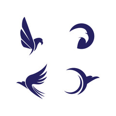 Obraz premium Falcon eagle bird