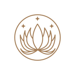 Beauty Lotus flowers