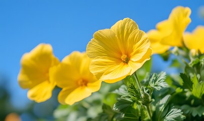 In the garden, yellowThick and densewinter Yellow Apricot Blossom is in full bloom, Generative AI 