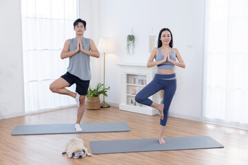 Asian couple practicing yoga with tree pose asana yoga  in a living room