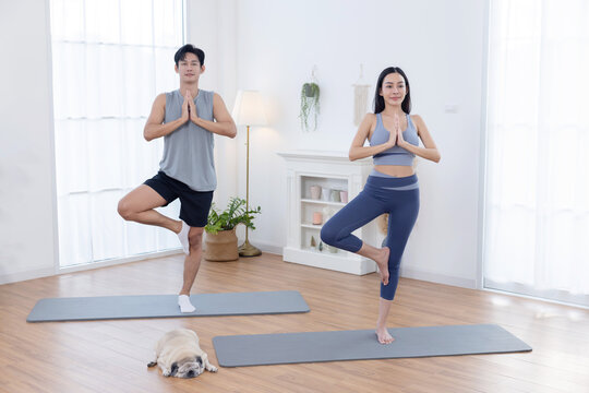 Asian couple practicing yoga with tree pose asana yoga  in a living room