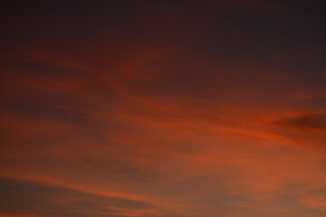 Evening orange sky. Sunset