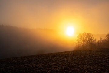 A frosty winter landscape shrouded in fog at sunset in the Bavarian Forest National Park, Bavaria, Germany