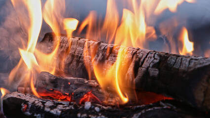 Campfire in the winter forest , close-up