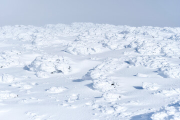 Snowy patterns shaped by winds