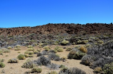 Scenic view of volcanic rock formations in desert during sunny day, Teide National Park, Tenerife
