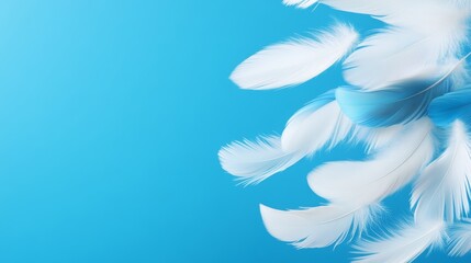 Blue background with white feathers scattered across it. The feathers are of different sizes and colors, creating a sense of movement and freedom. The image evokes a feeling of lightness