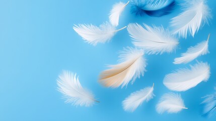 Blue sky with a large number of white feathers scattered throughout. The feathers are of various sizes and are flying in different directions, creating a sense of freedom and lightness