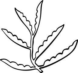hand drawn cartoon of plant illustration.