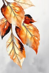 autumn leaves background behind animal