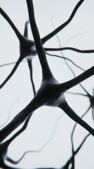 A conceptual illustration of neuron cells with glowing connections against a subtle background, showcasing the complexity and beauty of neural networks.