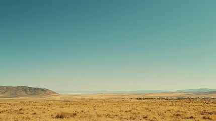 Fototapeta premium Cracked Earth in a Barren Landscape Highlighting Drought and Climate Change