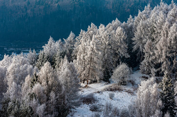 Szron, polskie góry, Beskid Sądecki, Małopolska, Muszyna.
