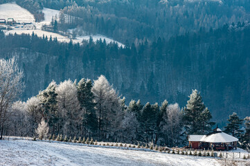 Szron, polskie góry, Beskid Sądecki, Małopolska, Muszyna.