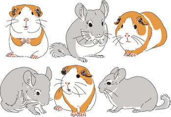 さまざまなポーズのモルモットとチンチラ