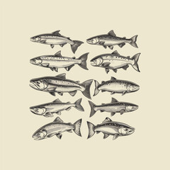 Set of various fish engraving design vector template