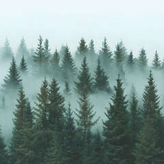 Misty Forest Backdrop with Tall Evergreen Trees for Eco Friendly Product Displays and Mockups