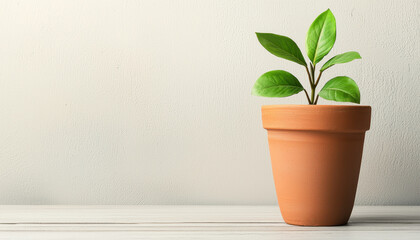 Obraz premium rustic terracotta flowerpot with vibrant green leaves, adding charm