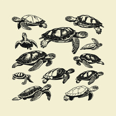 Set of turtle engraving design vector template