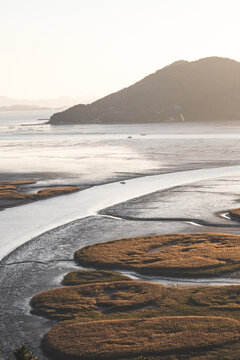 Suncheon Bay Nature Reserve in Suncheon, South Korea