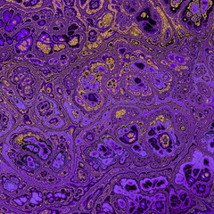 Abstract Marble texture. Fractal digital Art Background. High Resolution. Deep Purple marble with gold veins. Can be used for background or wallpaper