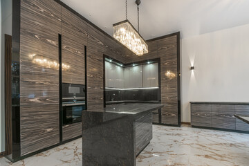 Exclusive kitchen design. Grey kitchen set with built-in modern appliances. .Stylish ceiling lamp...