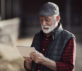 Farmer working on tablet on cattle ranch