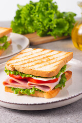 Close-up of two sandwiches with bacon, salami, prosciutto and fresh vegetables on rustic wooden cutting board. Club sandwich concept