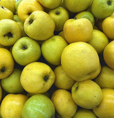 yellow apples in a market