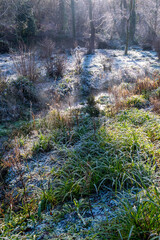 winter stream