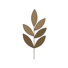 Minimalist Mid Century Modern Flower Vector Illustration on White Background.